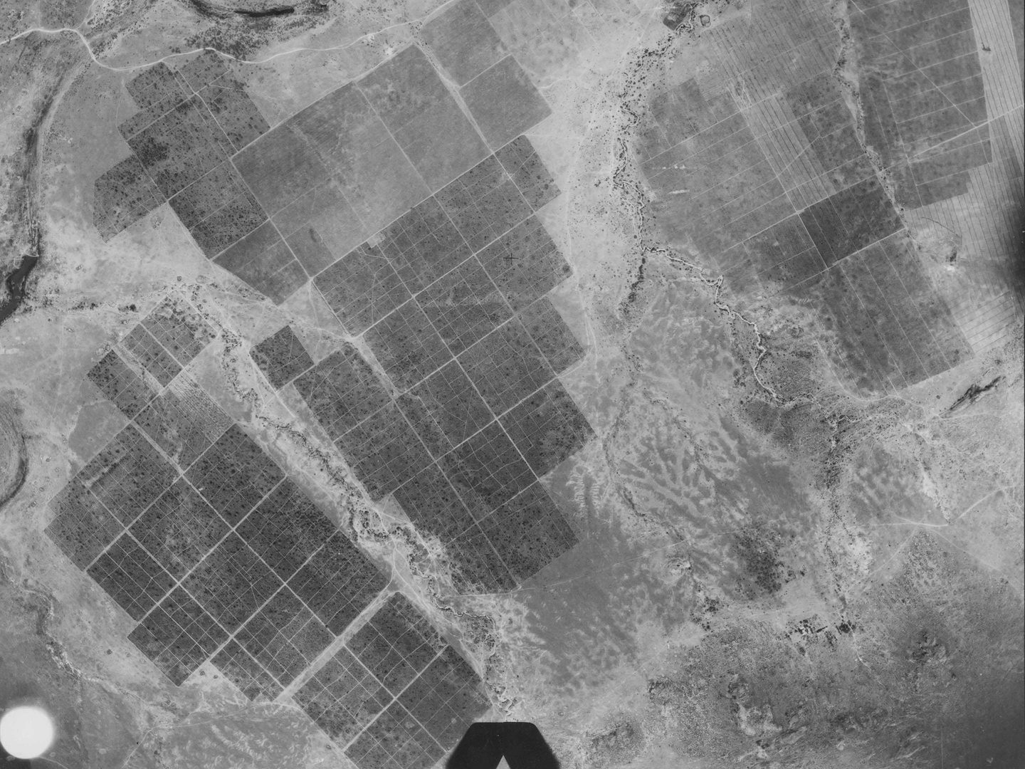 A black and white aerial photo of three very large areas of fields. The fields are arranged in grids of squares which stand out from the surrounding savannah-like landscape.