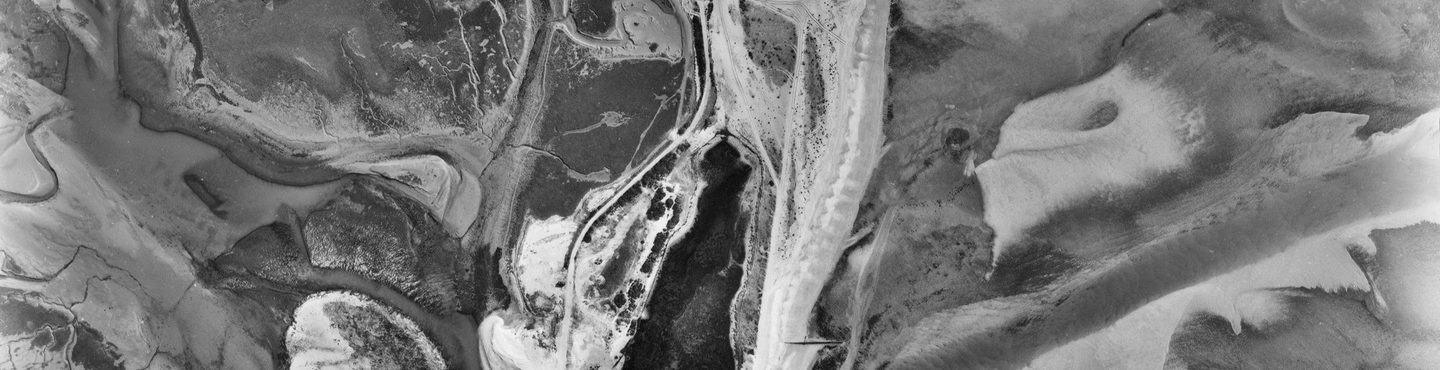 A black and white aerial photo of coastal wetlands. The image has the appearance of abstract swirls and patterns in shades of black, white and grey. There seem to be a few trees in the centre and an area of water to the left.