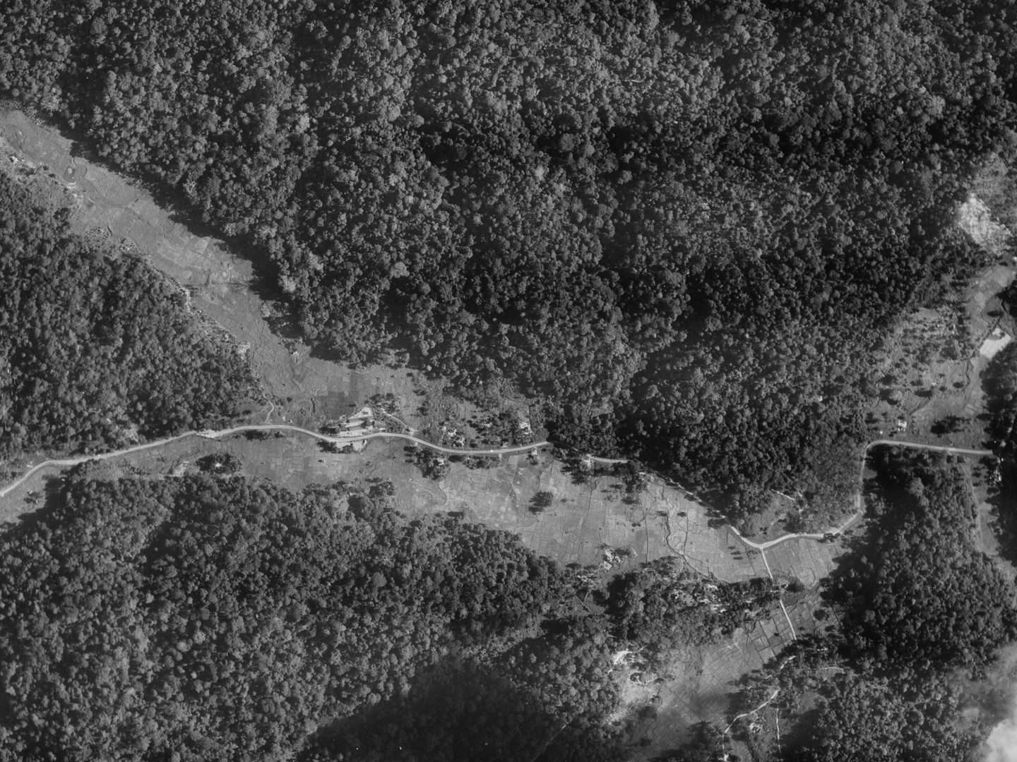 A black and white aerial photo of a dense forest. A clearing containing a road runs horizontally through the forest. A few buildings stand along the road. Another clearing runs from the top left corner to meet the main clearing just left of centre.