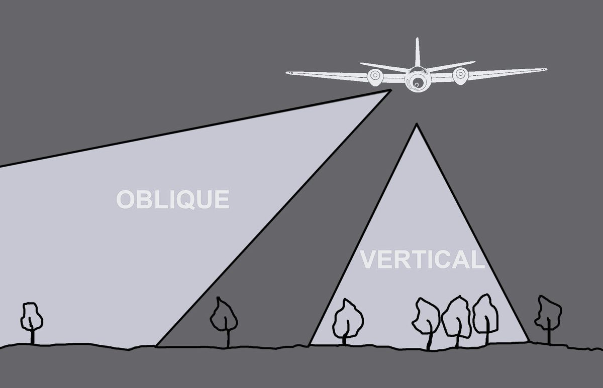 A greyscale drawing of a plane flying above 6 trees. A triangle pointing straight down from the plane indicates the area covered by a vertical aerial photo. A triangle pointing down at an angle indicates the area covered by an oblique aerial photo.