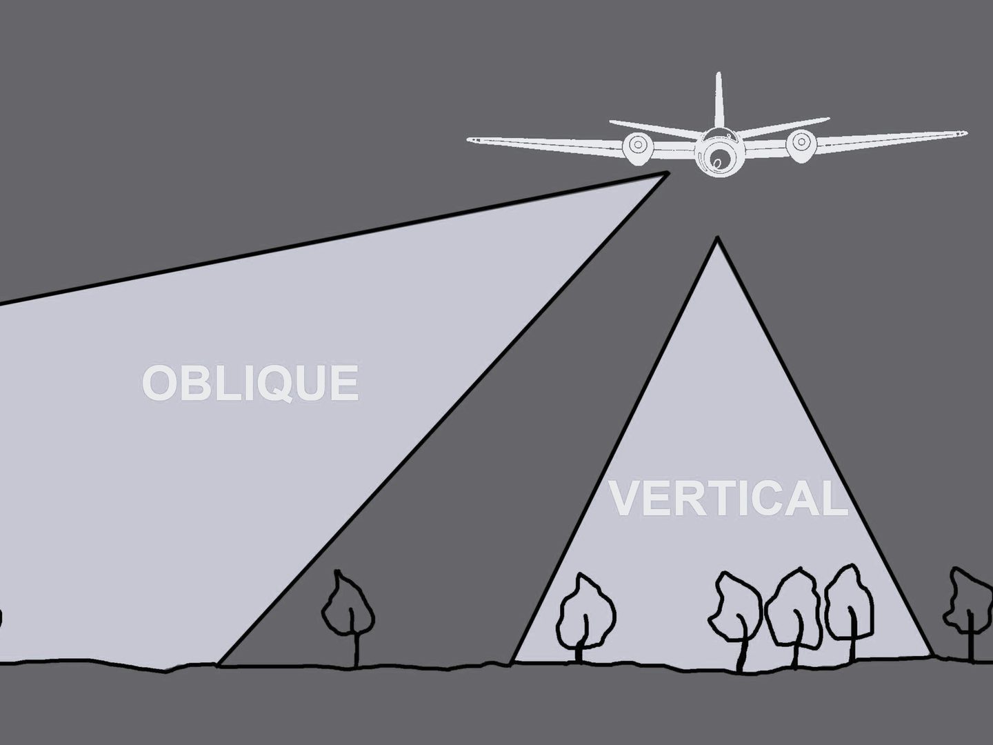A greyscale drawing of a plane flying above 6 trees. A triangle pointing straight down from the plane indicates the area covered by a vertical aerial photo. A triangle pointing down at an angle indicates the area covered by an oblique aerial photo.