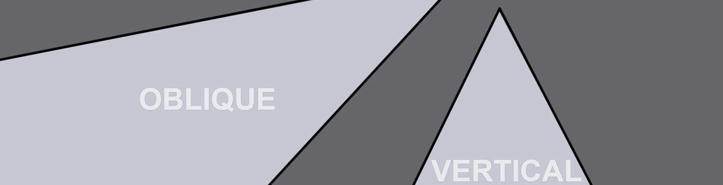A greyscale drawing of a plane flying above 6 trees. A triangle pointing straight down from the plane indicates the area covered by a vertical aerial photo. A triangle pointing down at an angle indicates the area covered by an oblique aerial photo.