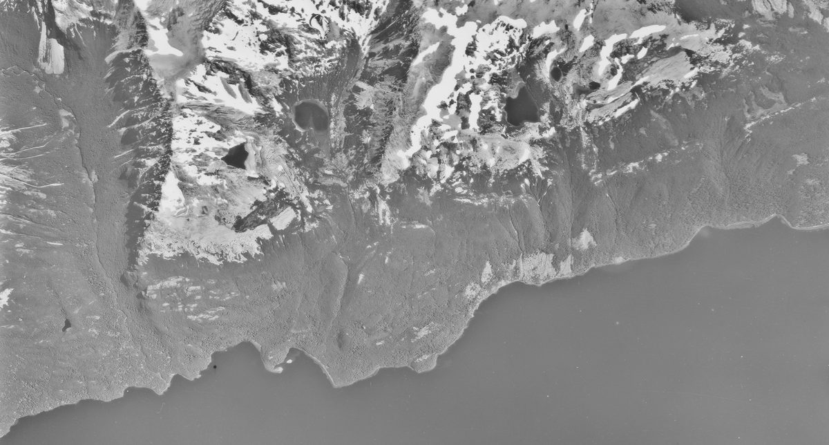 A historic black and white vertical aerial photo of a ragged shoreline. A lake stretches along the bottom of the image, with the land rising to snowy peaks along the top.
