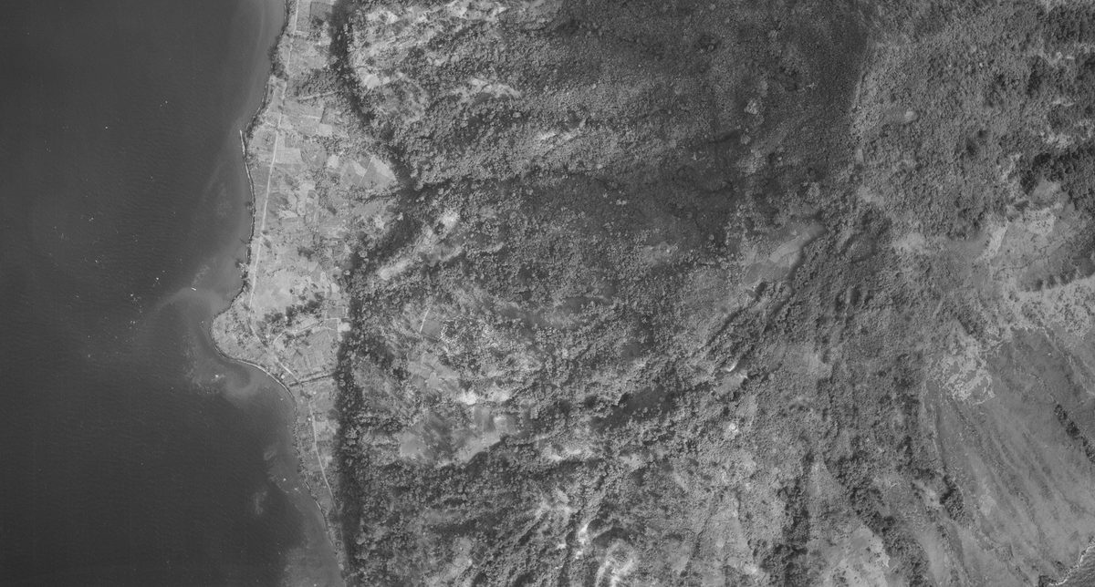 A historic black and white vertical aerial photo of forested hills. To the left a small stretch of sea can be seen.