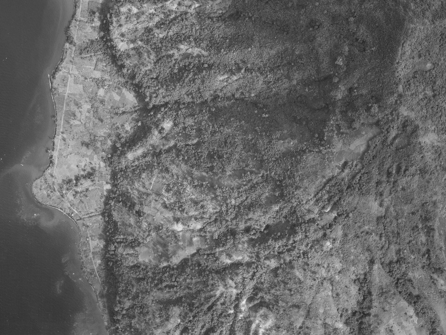 A historic black and white vertical aerial photo of forested hills. To the left a small stretch of sea can be seen.