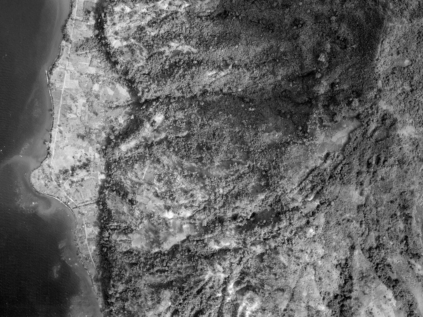 A historic black and white vertical aerial photo of forested hills. To the left a small stretch of sea can be seen.