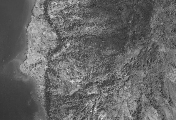A historic black and white vertical aerial photo of forested hills. To the left a small stretch of sea can be seen.