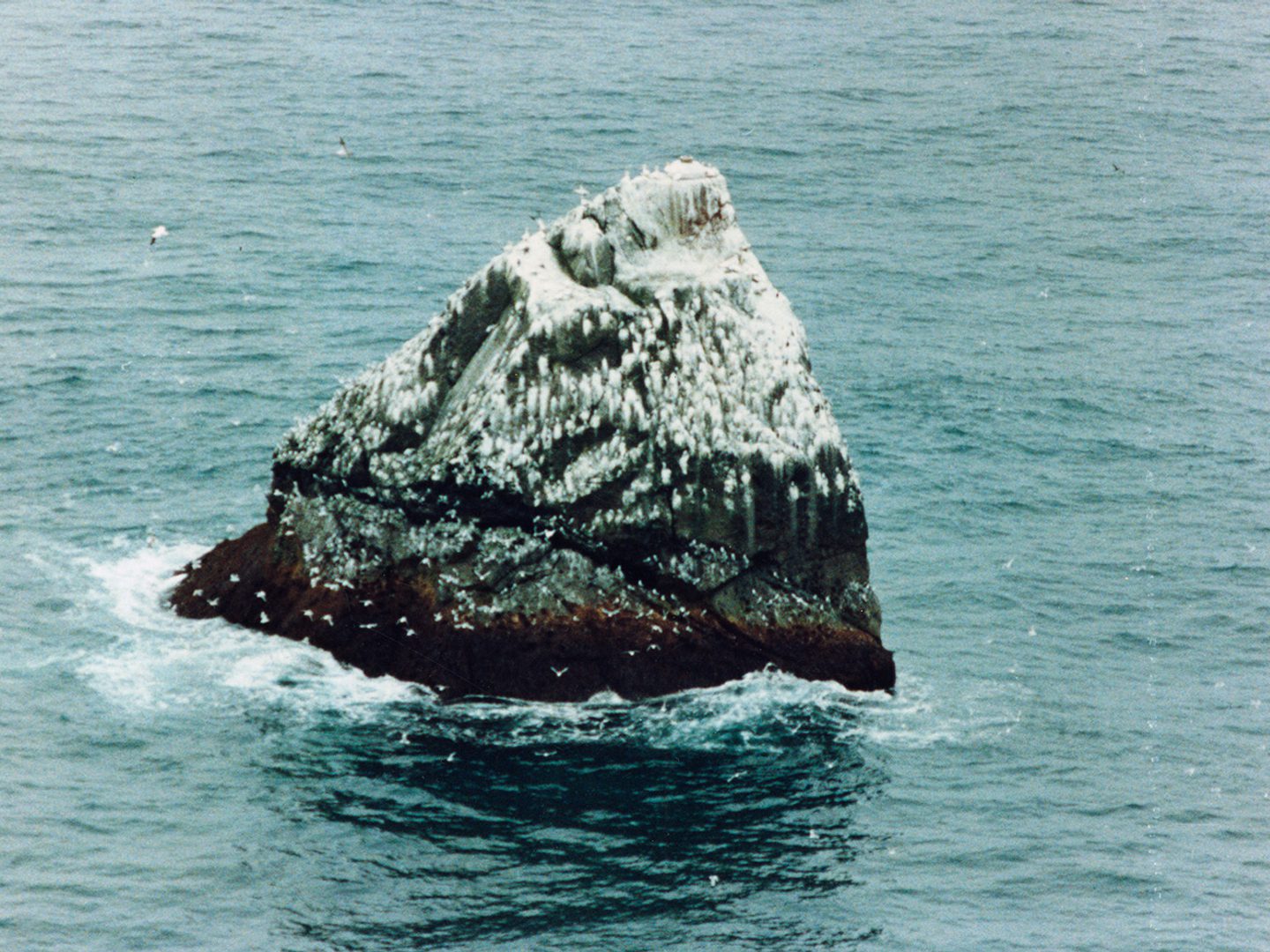A historic colour oblique aerial photo of Rockall - a dark-coloured triangular shaped rock. The top half is smeared with guano and sea birds are visible on its cliffs.
