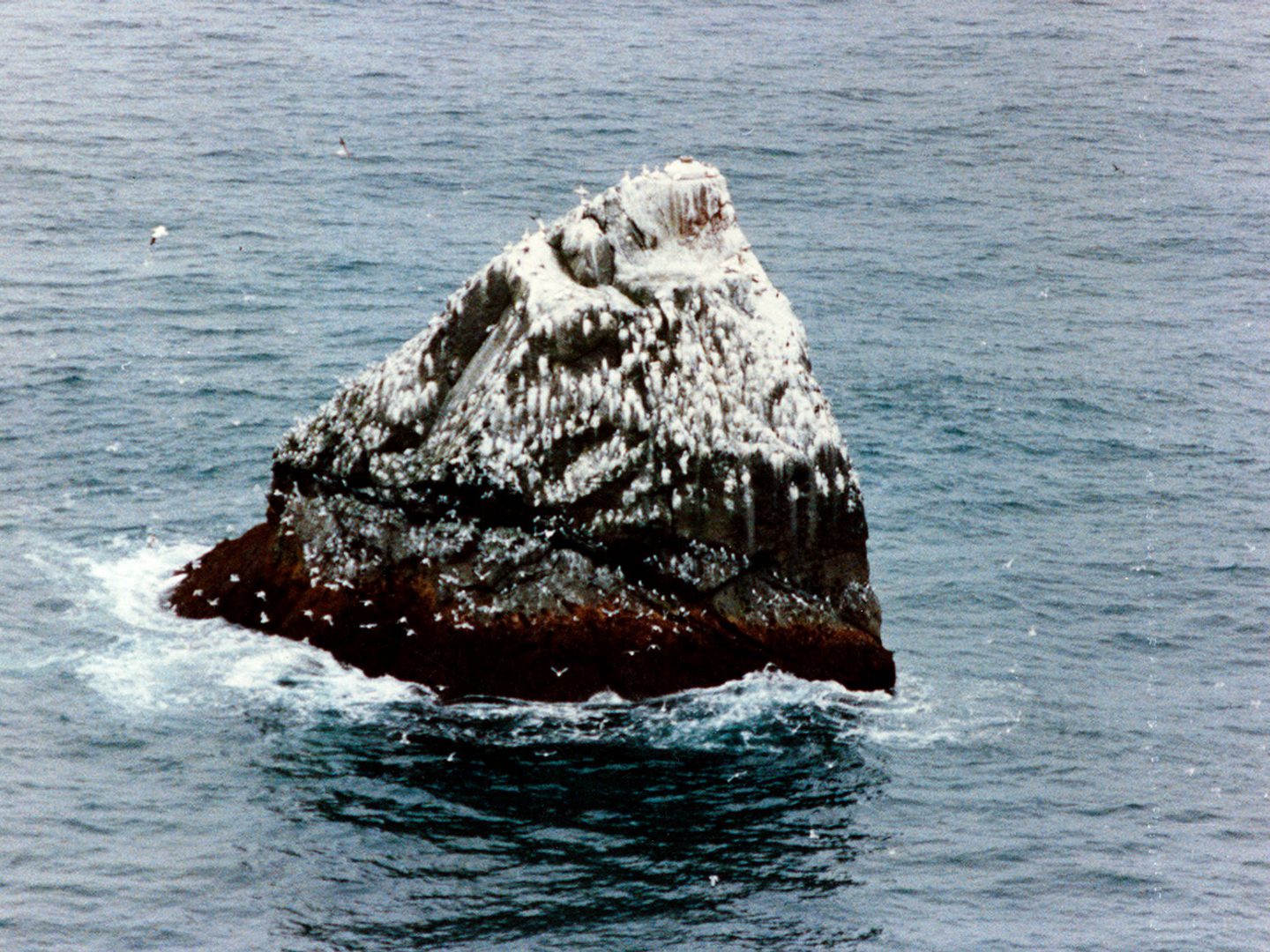 A historic colour oblique aerial photo of Rockall - a dark-coloured triangular shaped rock. The top half is smeared with guano and sea birds are visible on its cliffs.
