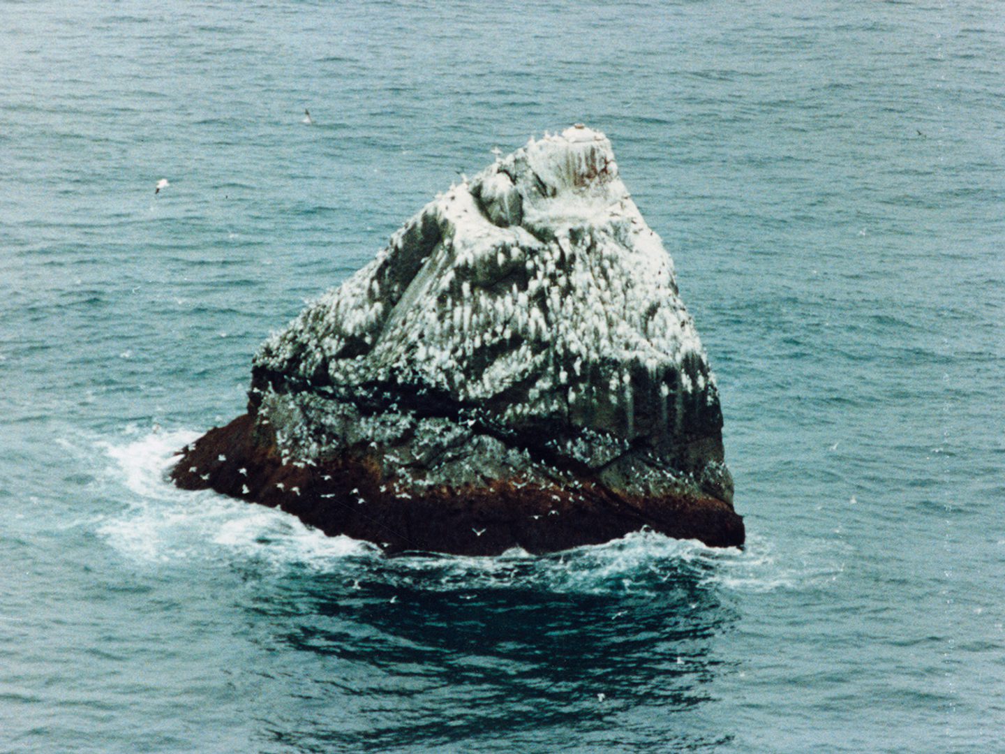 A historic colour oblique aerial photo of Rockall - a dark-coloured triangular shaped rock. The top half is smeared with guano and sea birds are visible on its cliffs.