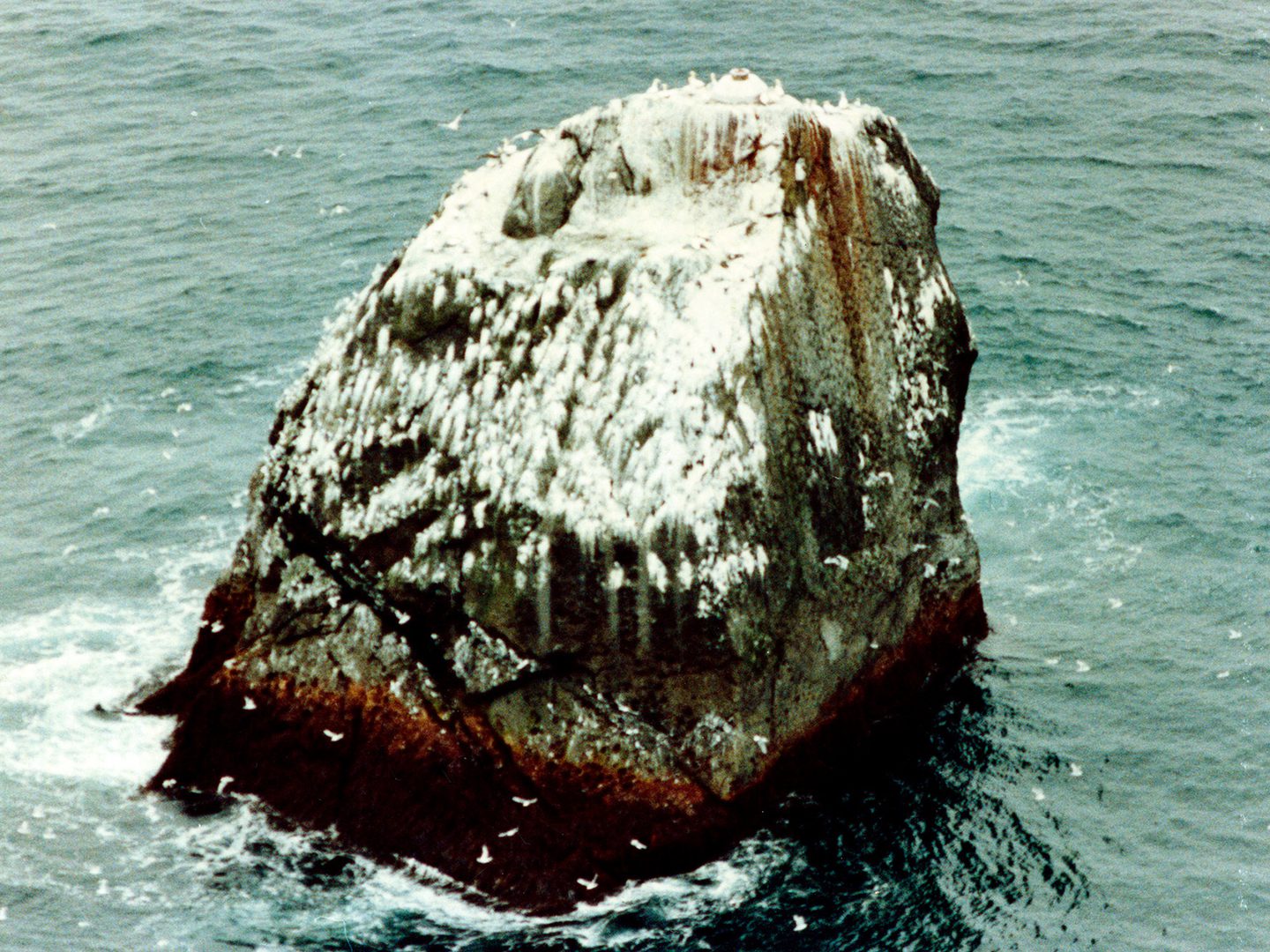 A historic colour oblique aerial photo of Rockall - a dark-coloured triangular shaped rock surrounded by a calm sea. It is liberally covered with white guano, and numerous seabirds are visible.