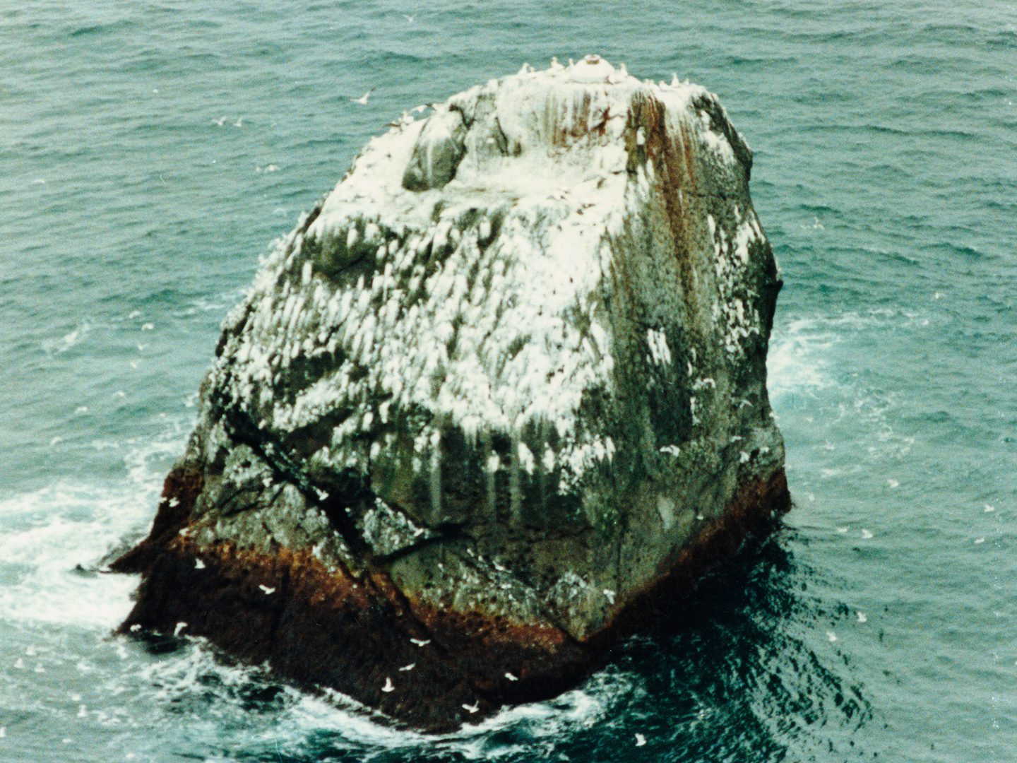A historic colour oblique aerial photo of Rockall - a dark-coloured triangular shaped rock surrounded by a calm sea. It is liberally covered with white guano, and numerous seabirds are visible.