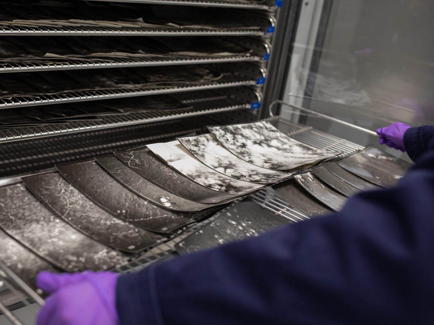 The hands and arms of a person holding a wire tray loaded with 2 rows of slightly curled black and white aerial photos. They are wearing purple gloves and a blue lab coat and are slotting the tray into a rack containing lots of other trays of photos.