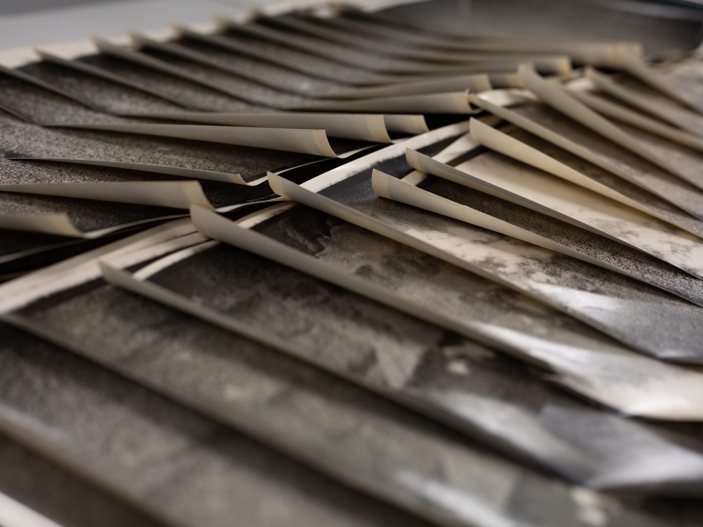 2 rows of black and white aerial photographic prints. The prints are curled revealing their white undersides.