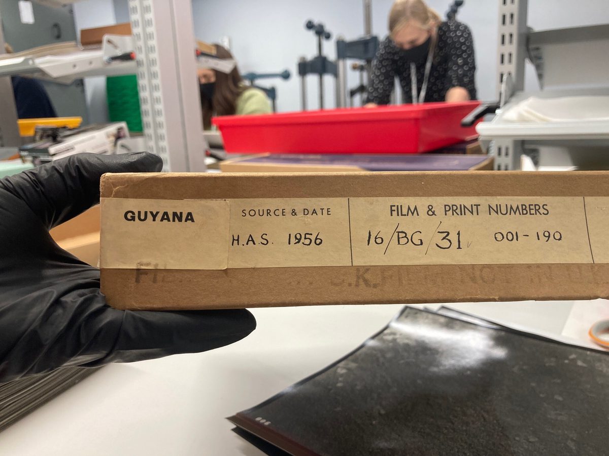 A black-gloved hand holds a cardboard box. The box is labelled 'GUYANA', dated 1956 and has catalogue information printed on it. In the out-of-focus background are two figures, one bending over a bright red tray.