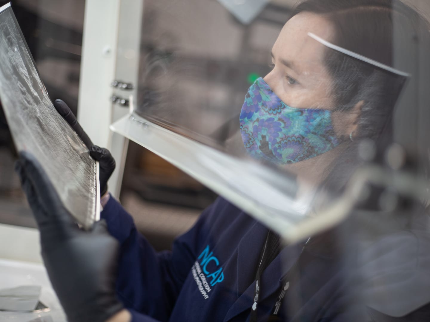 A member of NCAP staff in a blue lab coat and wearing a patterned face mask examines a black and white photographic print within a fume hood.