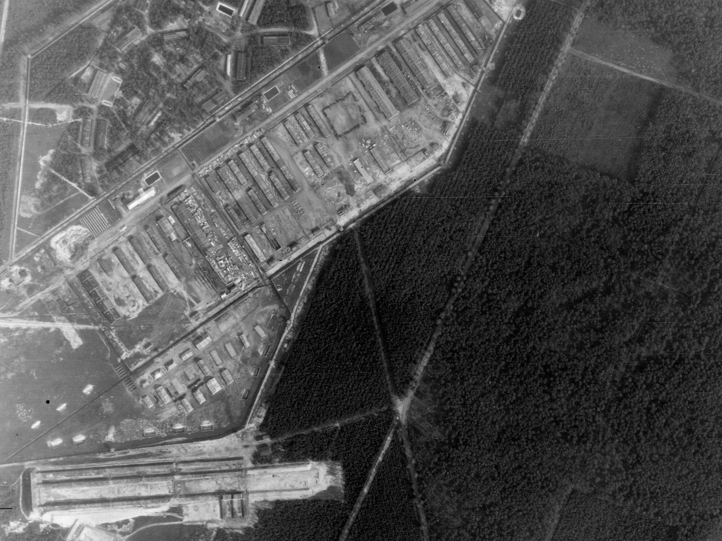 A black and white vertical aerial photo. The right-hand side shows a solid block of dark forest. To the left are the rows of huts of Bergen-Belsen Concentration Camp.