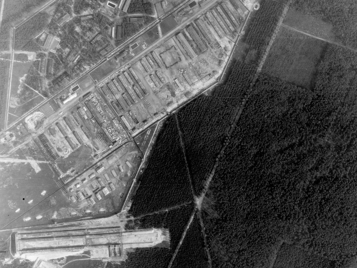 A black and white vertical aerial photo. The right-hand side shows a solid block of dark forest. To the left are the rows of huts of Bergen-Belsen Concentration Camp.
