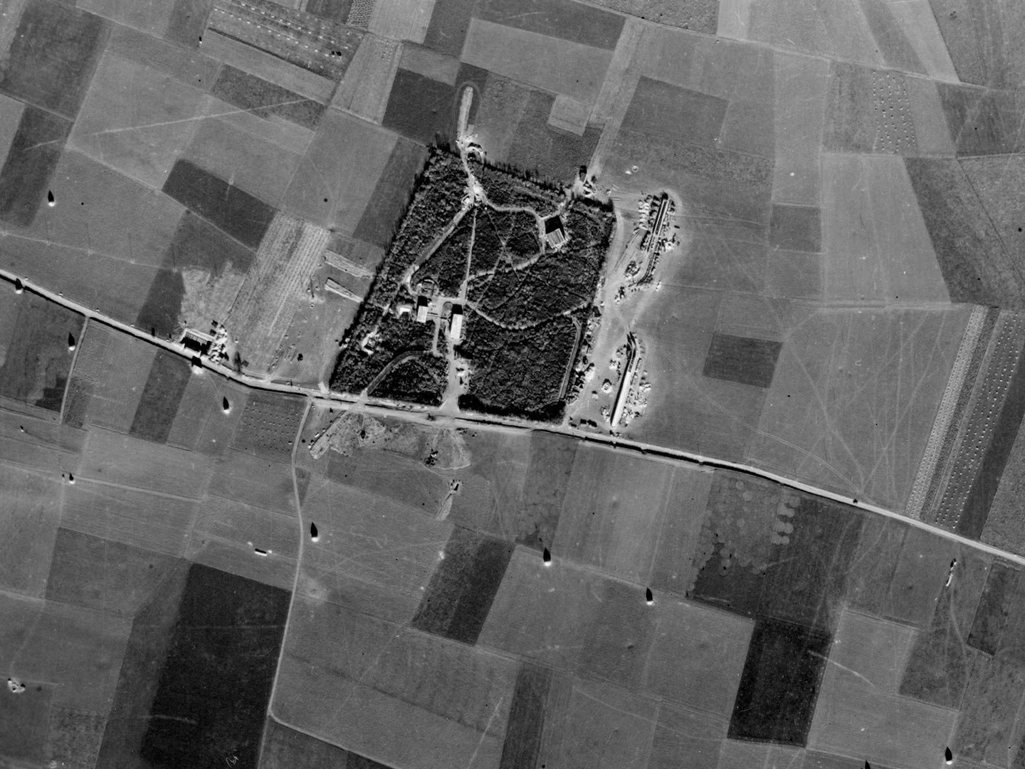 A historic black and white vertical aerial photo of a roughly square wood by a road surrounded by fields. Buildings are being constructed in the wood.