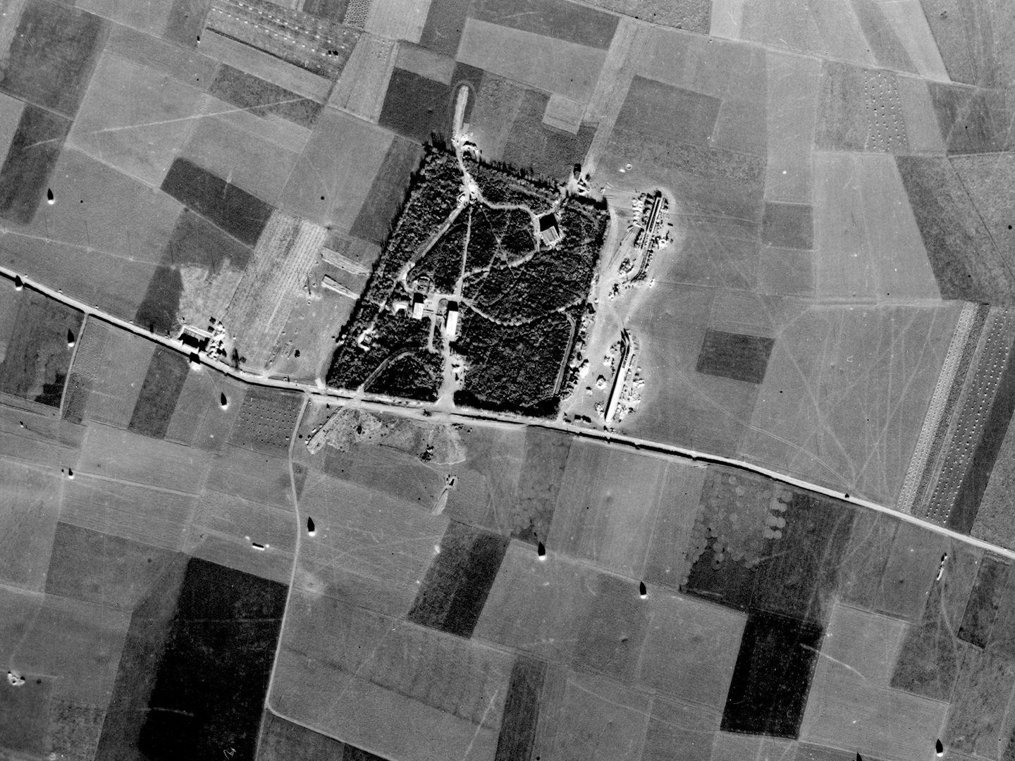 A historic black and white vertical aerial photo of a roughly square wood by a road surrounded by fields. Buildings are being constructed in the wood.