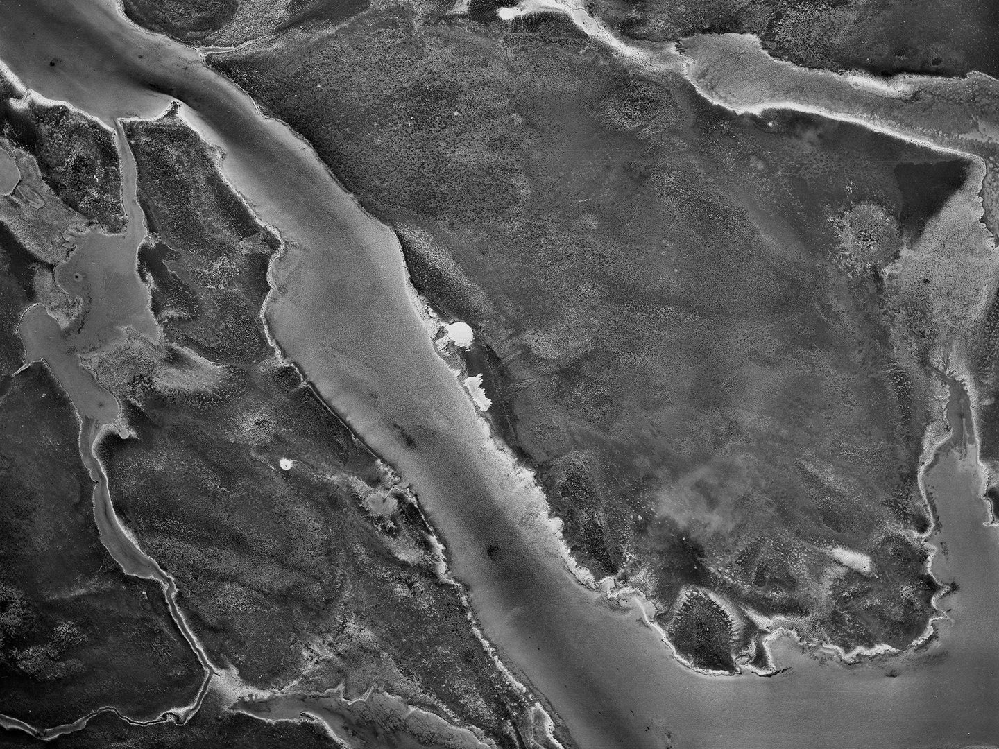 A historic black and white vertical aerial photo of a watery landscape. Several irregular islands are divided by channels of water.