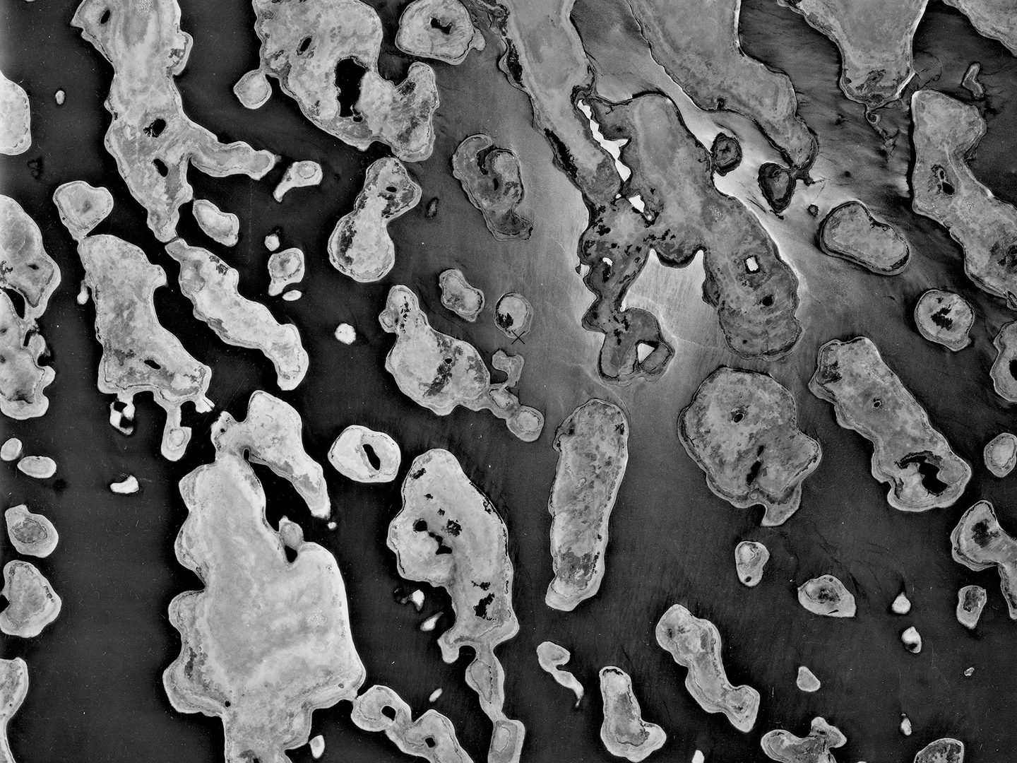 A historic black and white vertical aerial photo of a lake dotted with numerous, irregular-shaped islands.
