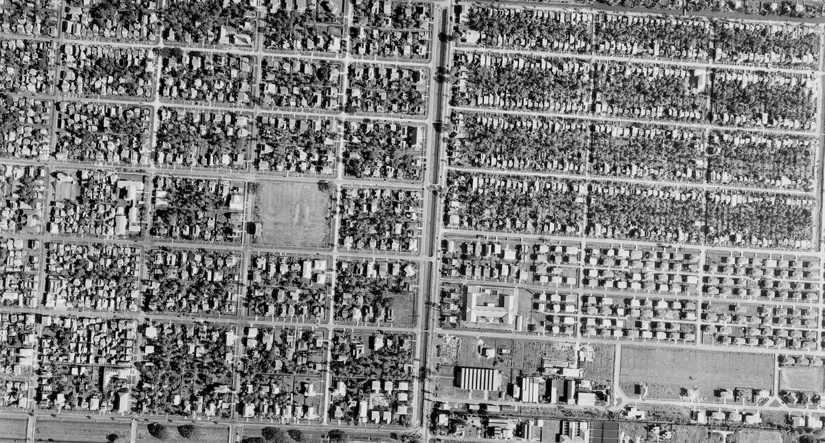 A historic black and white vertical aerial photo of a city. Houses are arranged in neat blocks, interspersed with trees.