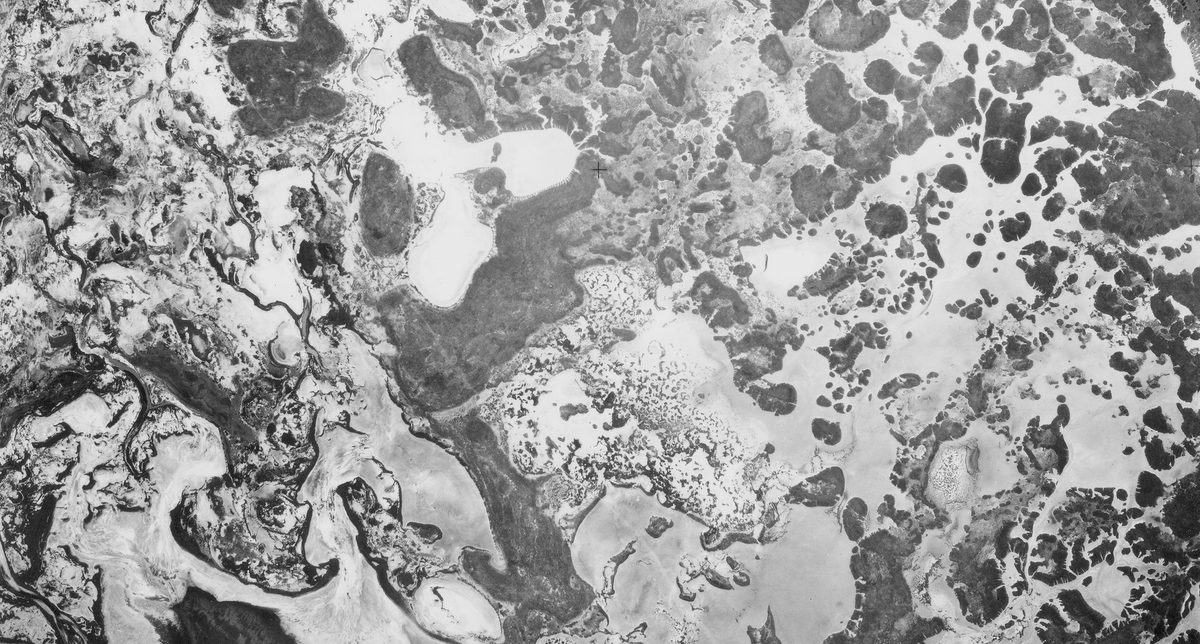 A historic black and white vertical aerial photo of a watery landscape. The mix of land and water forms an abstract pattern of what seems to be bubbles or holes.
