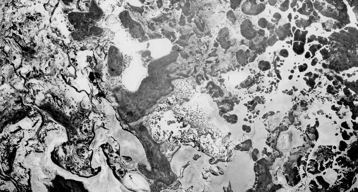 A historic black and white vertical aerial photo of a watery landscape. The mix of land and water forms an abstract pattern of what seems to be bubbles or holes.