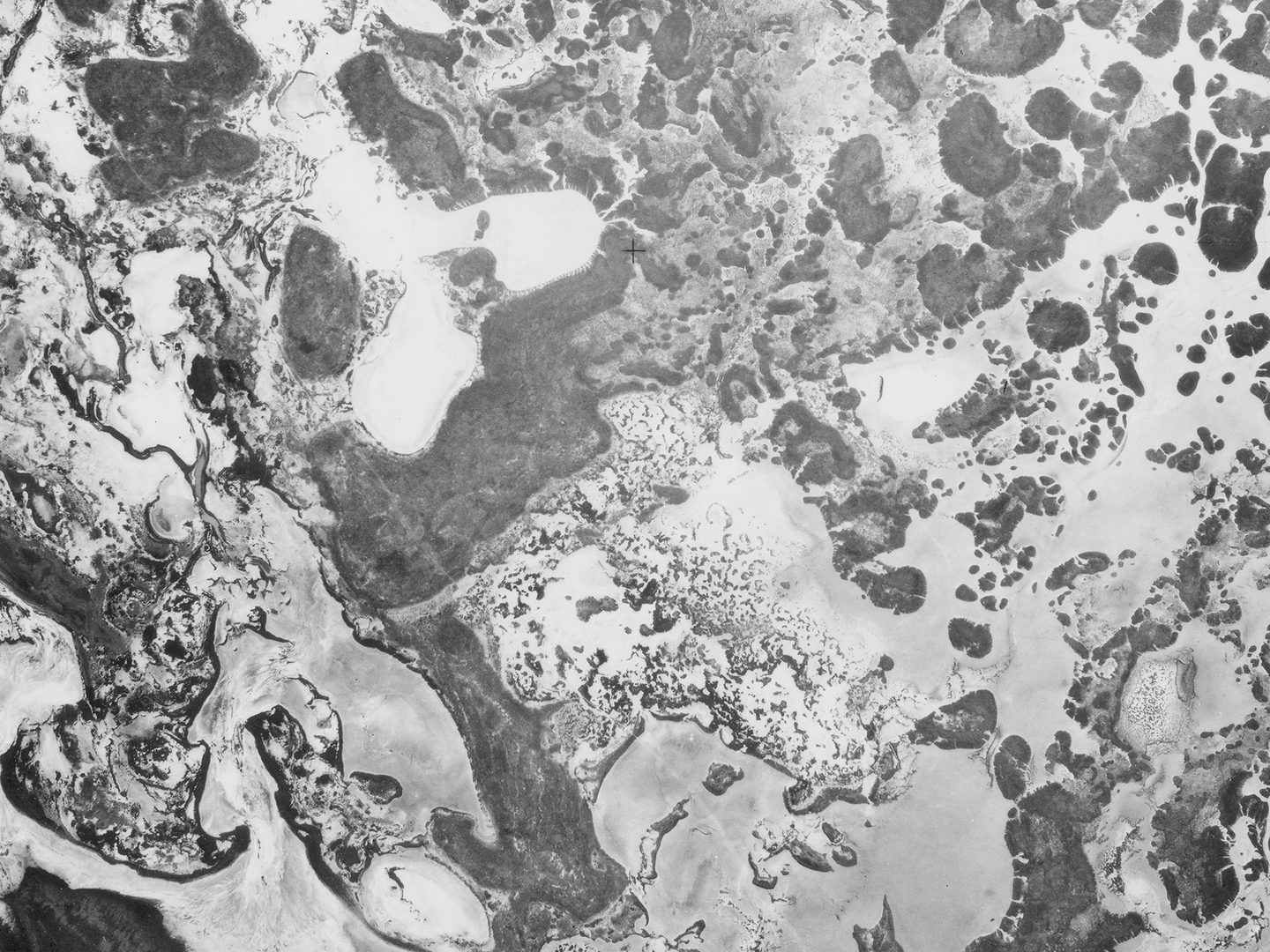 A historic black and white vertical aerial photo of a watery landscape. The mix of land and water forms an abstract pattern of what seems to be bubbles or holes.