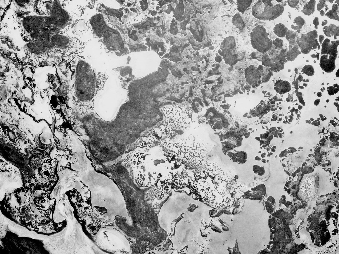 A historic black and white vertical aerial photo of a watery landscape. The mix of land and water forms an abstract pattern of what seems to be bubbles or holes.