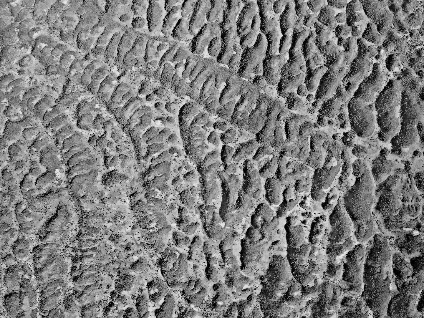A black and white aerial photo of a limestone landscape. The limestone looks wrinkled and has created an intricate wavy pattern, with channels and areas of raised ground running at all sorts of angles across the image.