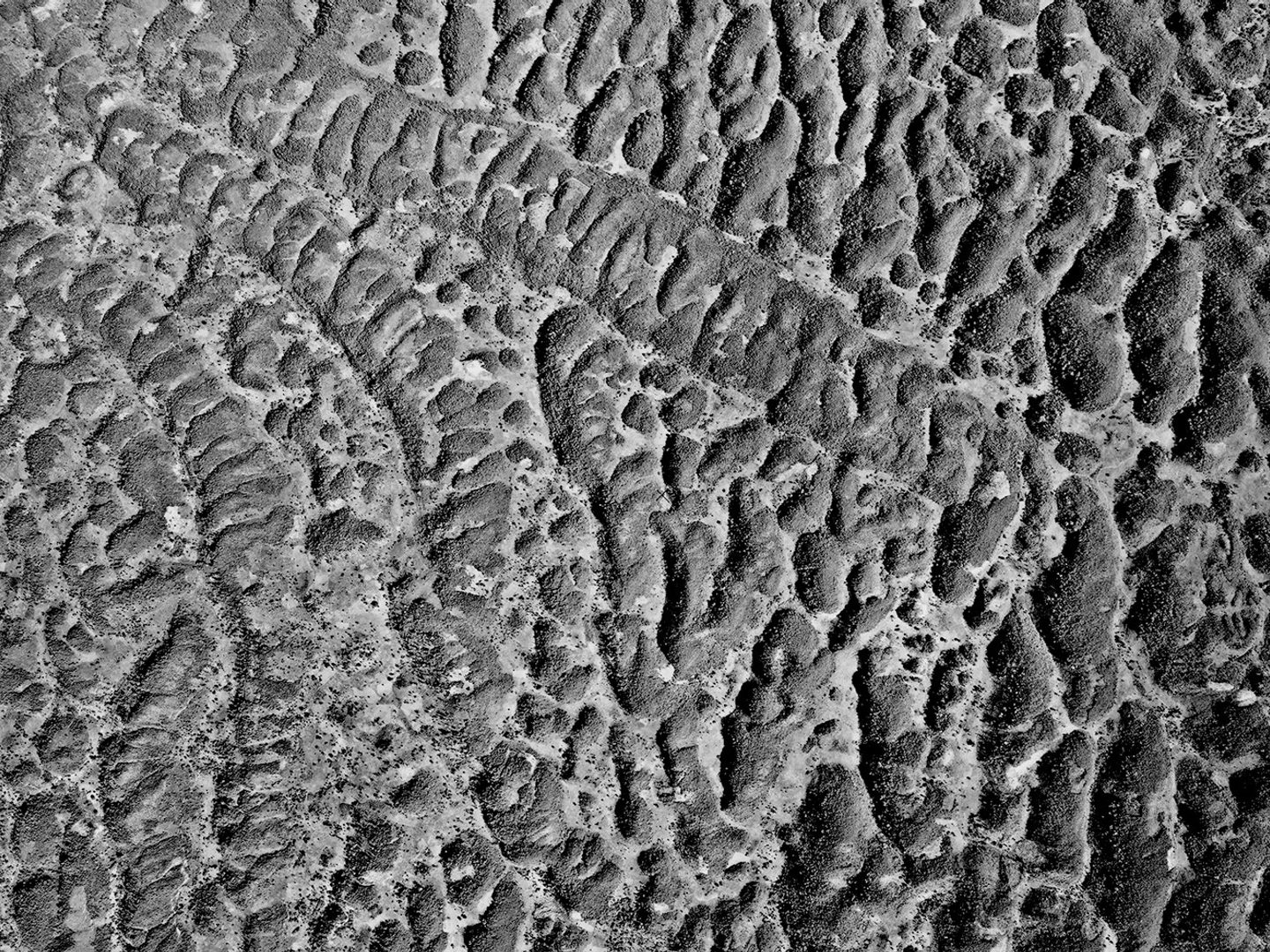 A black and white aerial photo of a limestone landscape. The limestone looks wrinkled and has created an intricate wavy pattern, with channels and areas of raised ground running at all sorts of angles across the image.