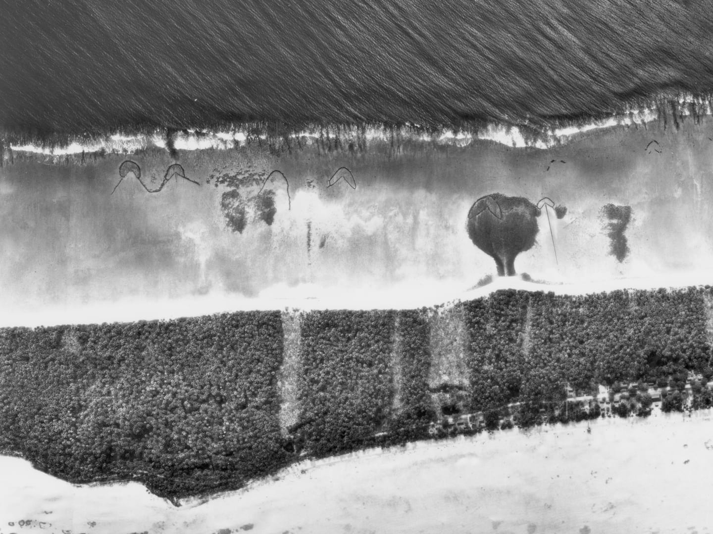 A black and white vertical aerial photo of a forested strip of land fringed with sand and the sea on either side. Arrow-shaped structures extend into the shallows.