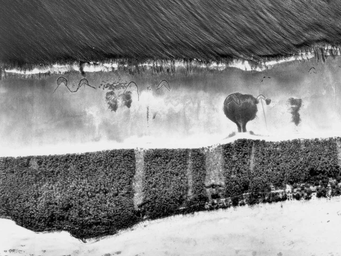 A black and white vertical aerial photo of a forested strip of land fringed with sand and the sea on either side. Arrow-shaped structures extend into the shallows.