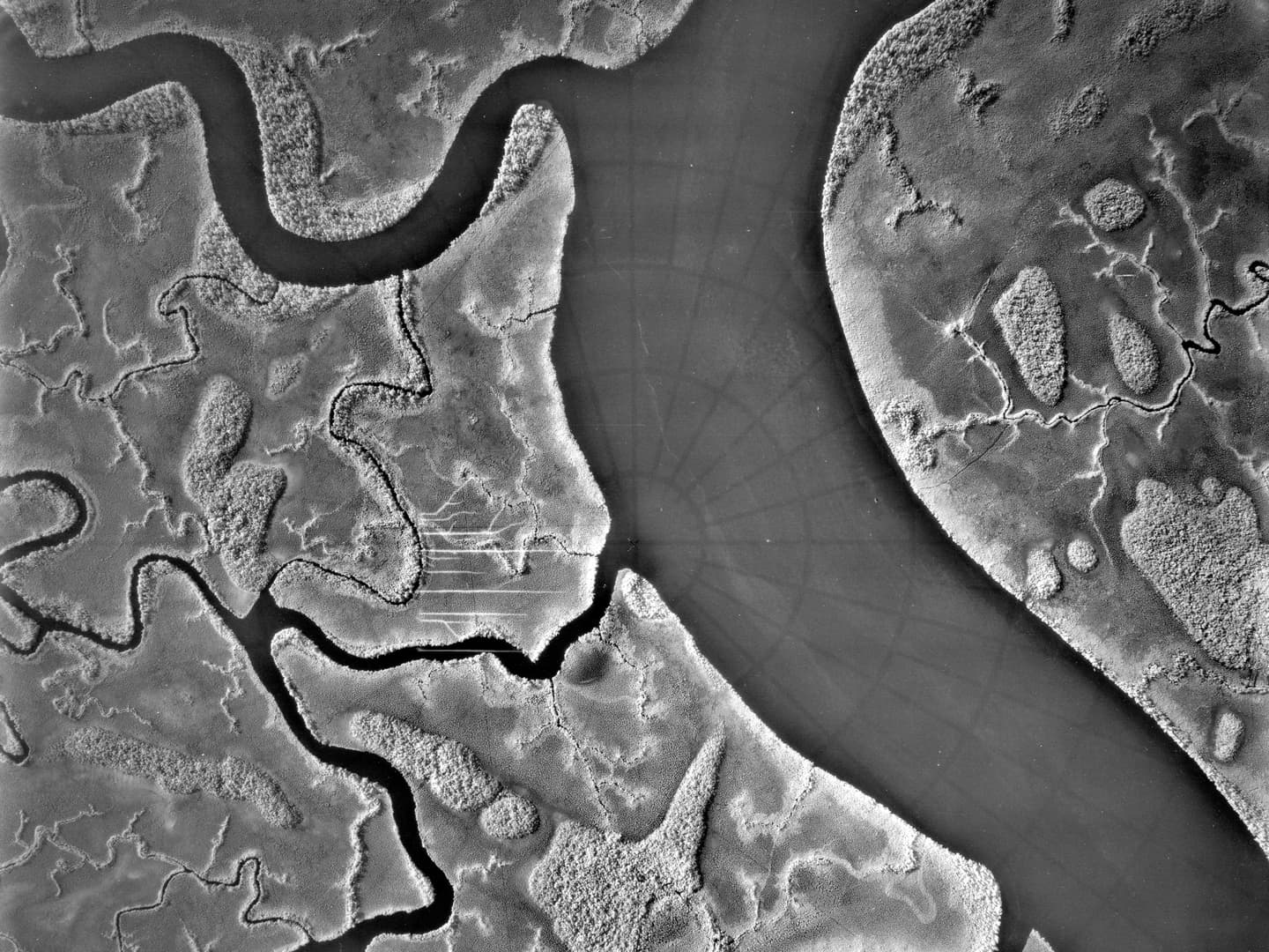 A black and white vertical aerial photo of a river delta. The main channel curves gently through the right side of the image, with numerous smaller channels running from it to the left.