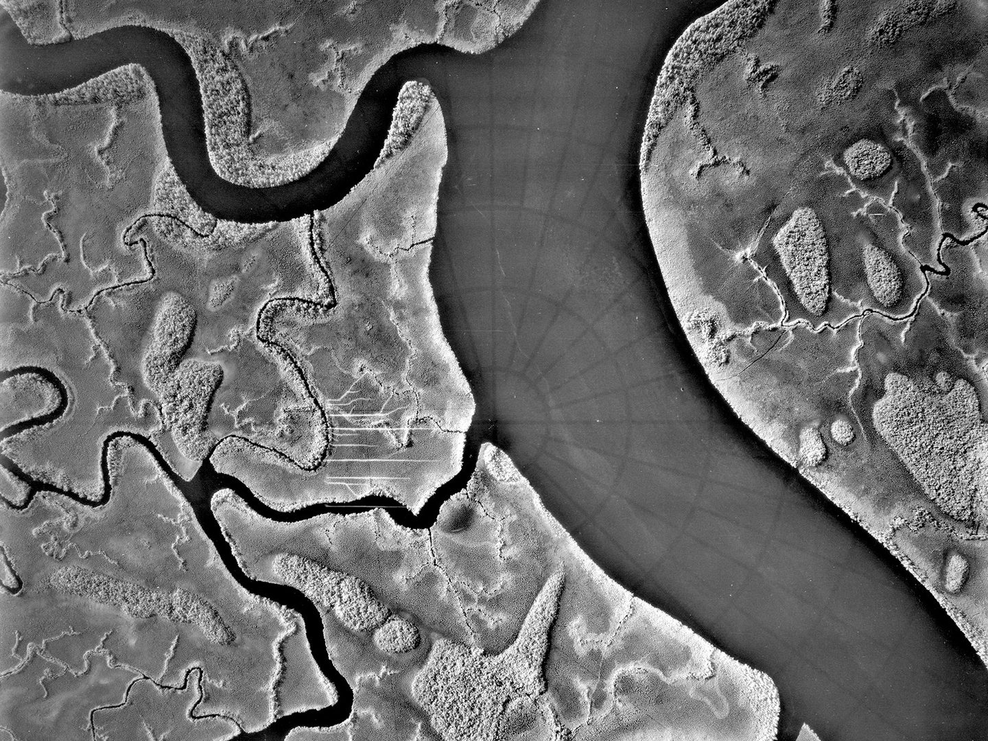A black and white vertical aerial photo of a river delta. The main channel curves gently through the right side of the image, with numerous smaller channels running from it to the left.