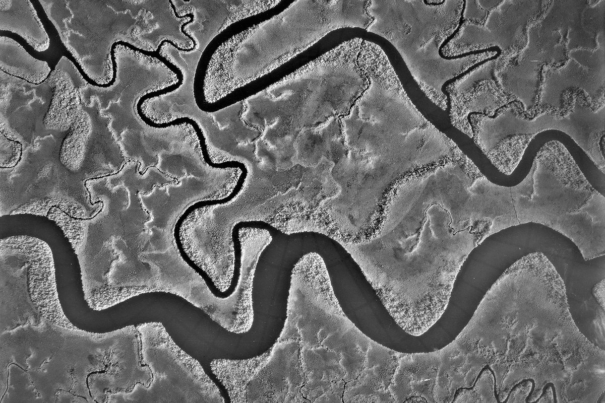 A black and white vertical aerial photo of a river delta. The main channel undulates along the bottom edge of the image, with smaller channels running above it.