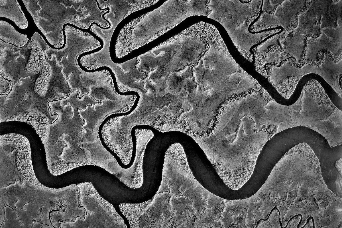 A black and white vertical aerial photo of a river delta. The main channel undulates along the bottom edge of the image, with smaller channels running above it.