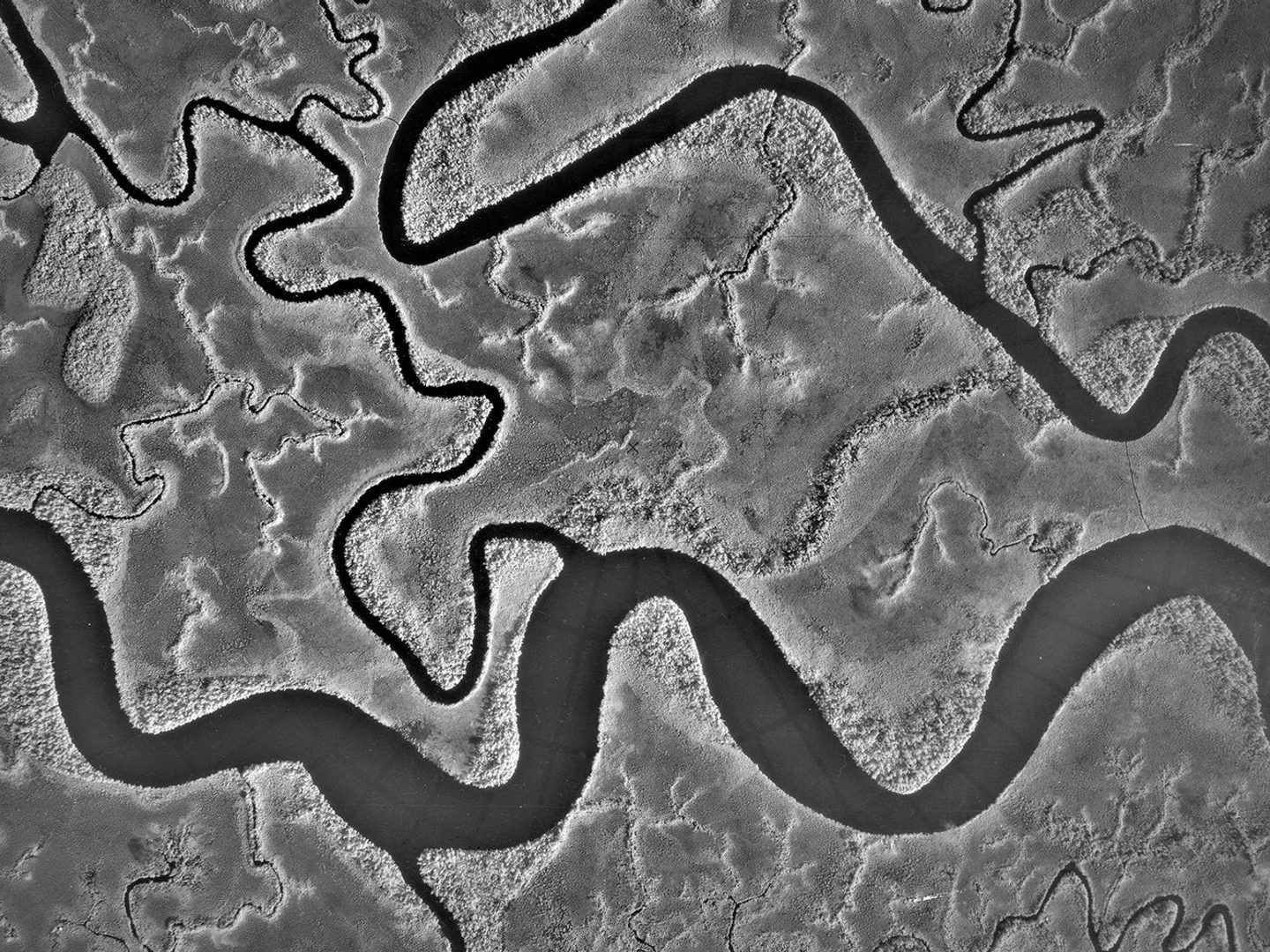 A black and white vertical aerial photo of a river delta. The main channel undulates along the bottom edge of the image, with smaller channels running above it.