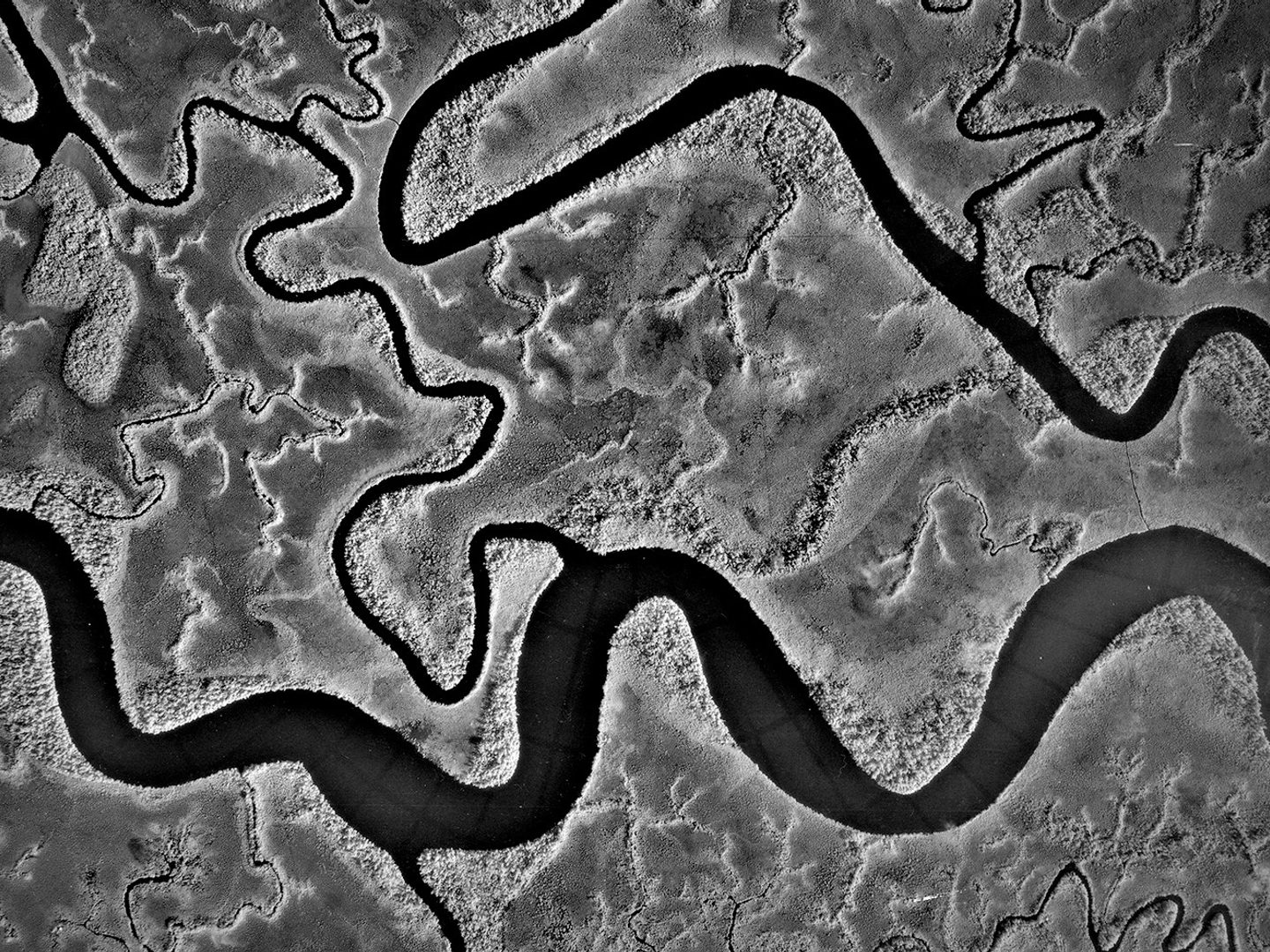 A black and white vertical aerial photo of a river delta. The main channel undulates along the bottom edge of the image, with smaller channels running above it.