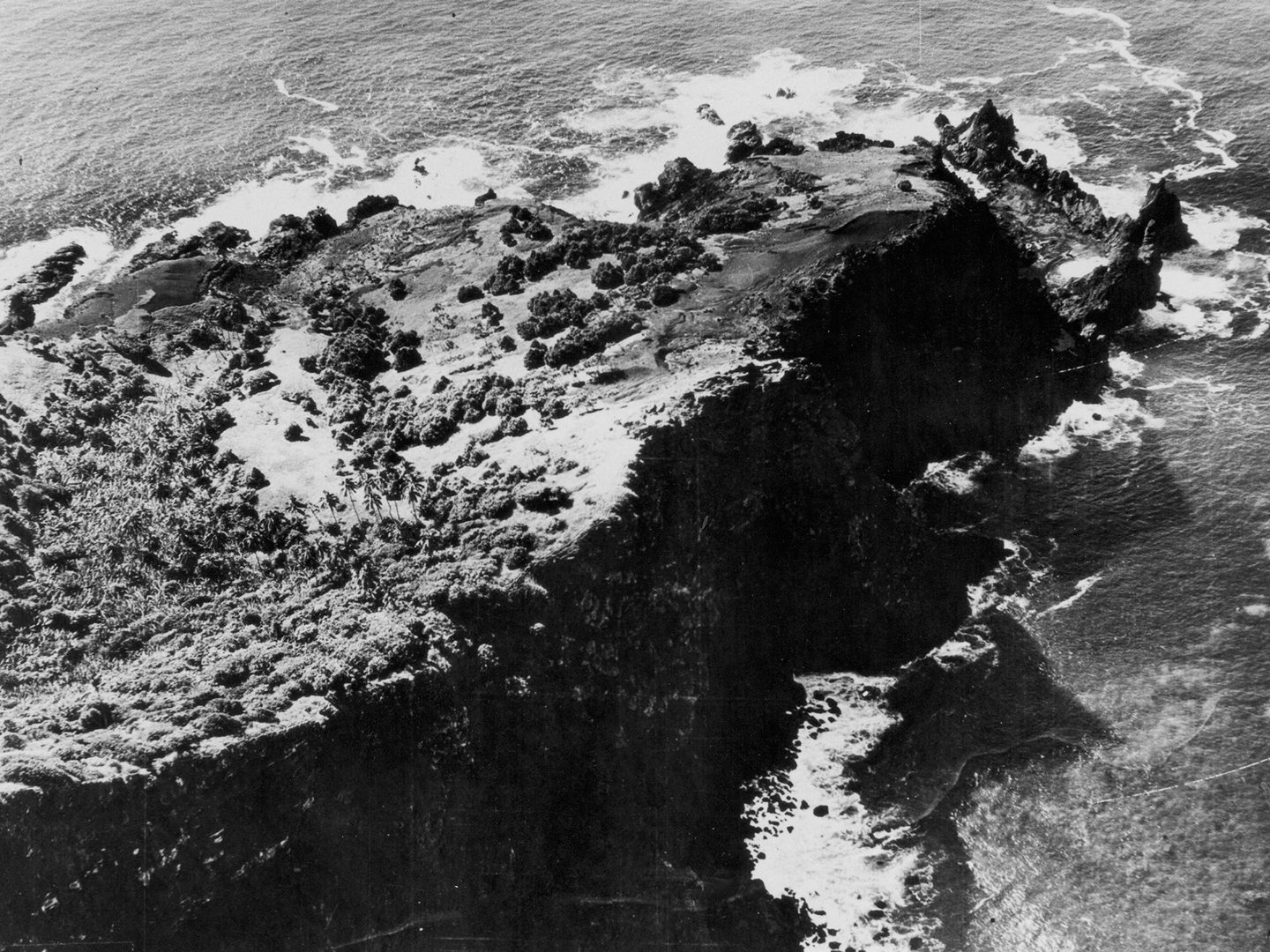 A historic black and white oblique aerial photo of Pitcairn, with steep cliffs dropping into the sea. On top of the cliffs is an area of open land interspersed with bushes and palm trees.