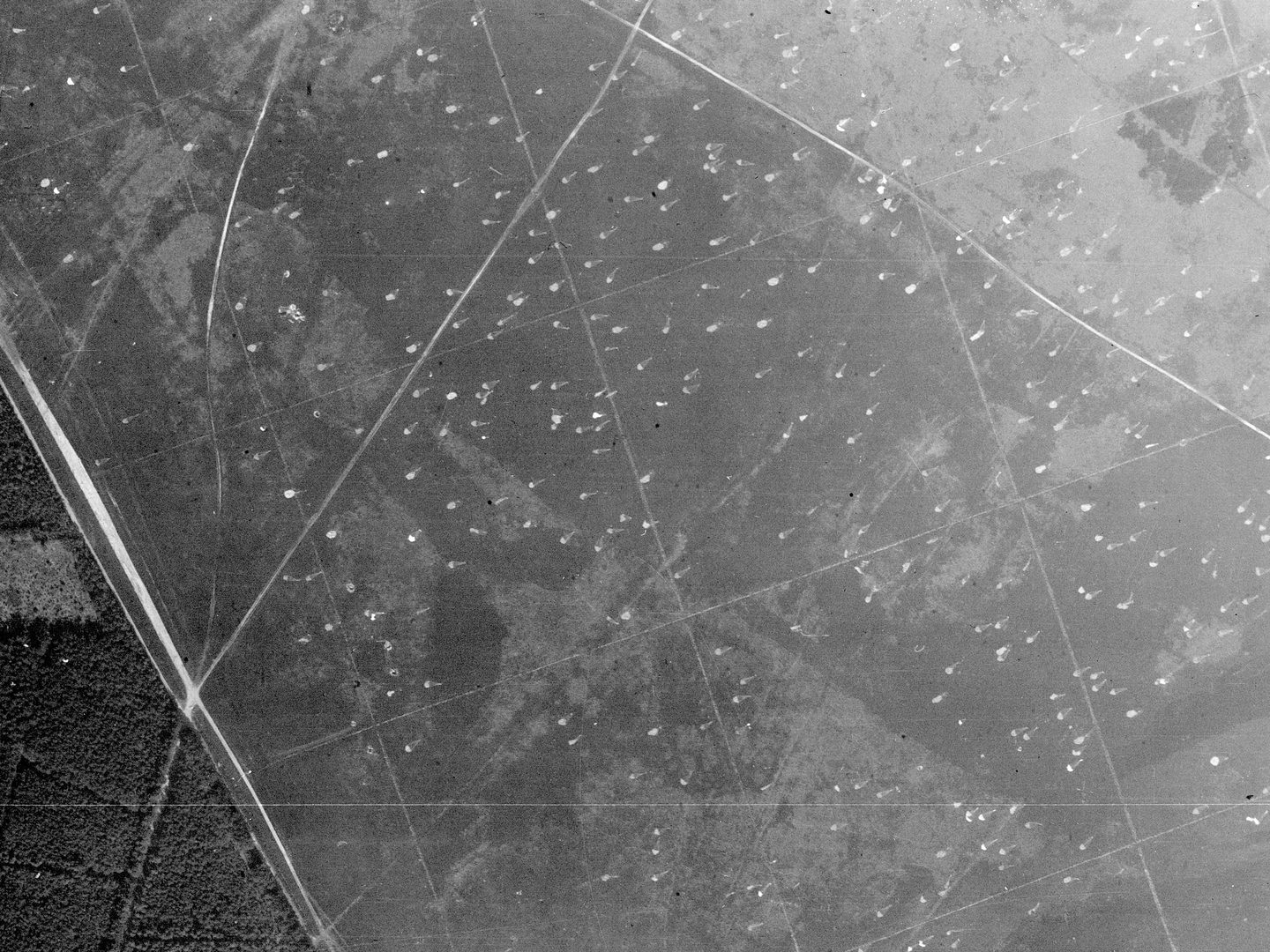 A black and white aerial photo of a landscape. Woods fill the bottom left corner of the image while the rest is a regular grid of square, open fields. Scattered across the fields are hundreds of white parachute canopies.