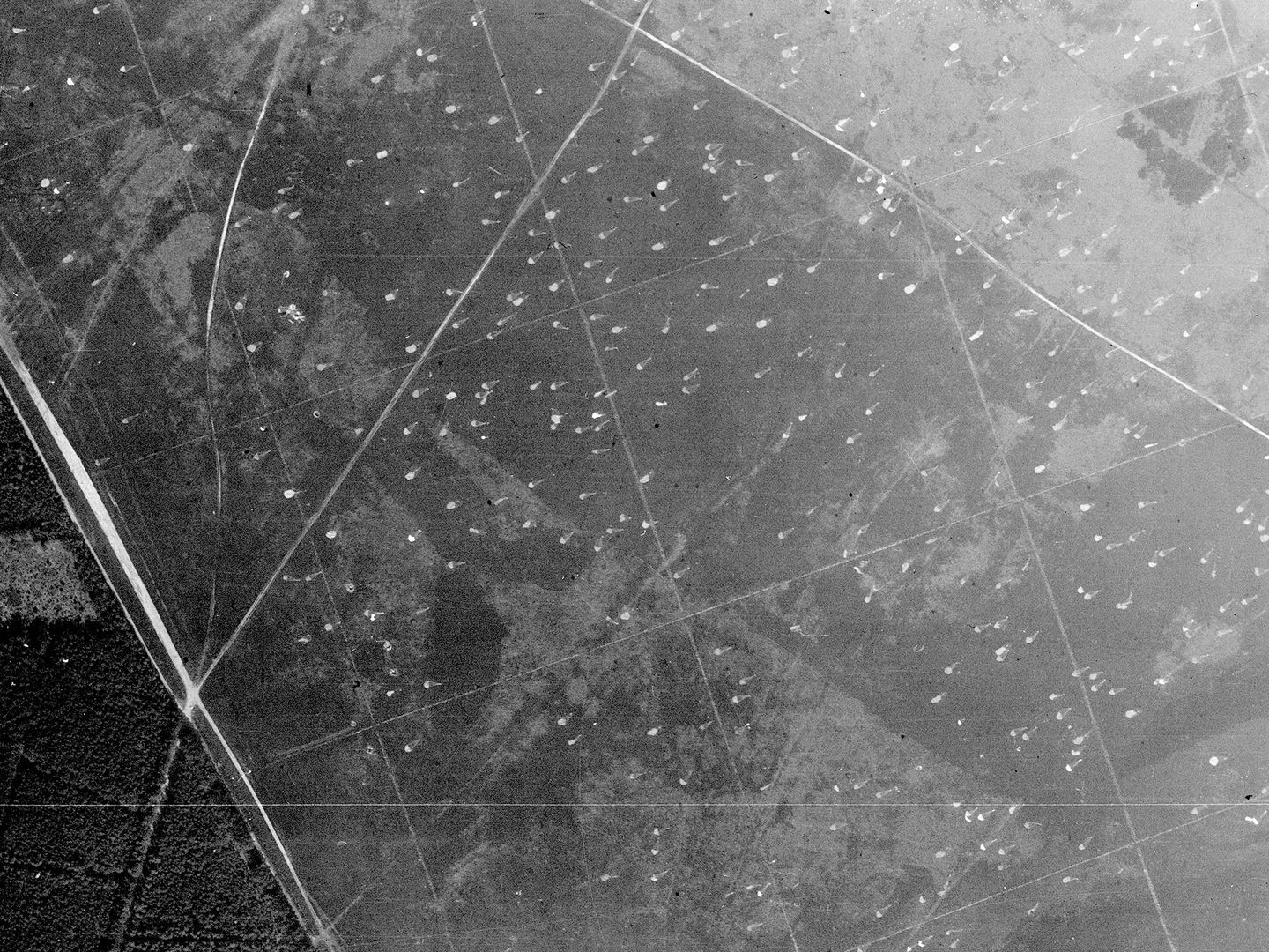A black and white aerial photo of a landscape. Woods fill the bottom left corner of the image while the rest is a regular grid of square, open fields. Scattered across the fields are hundreds of white parachute canopies.