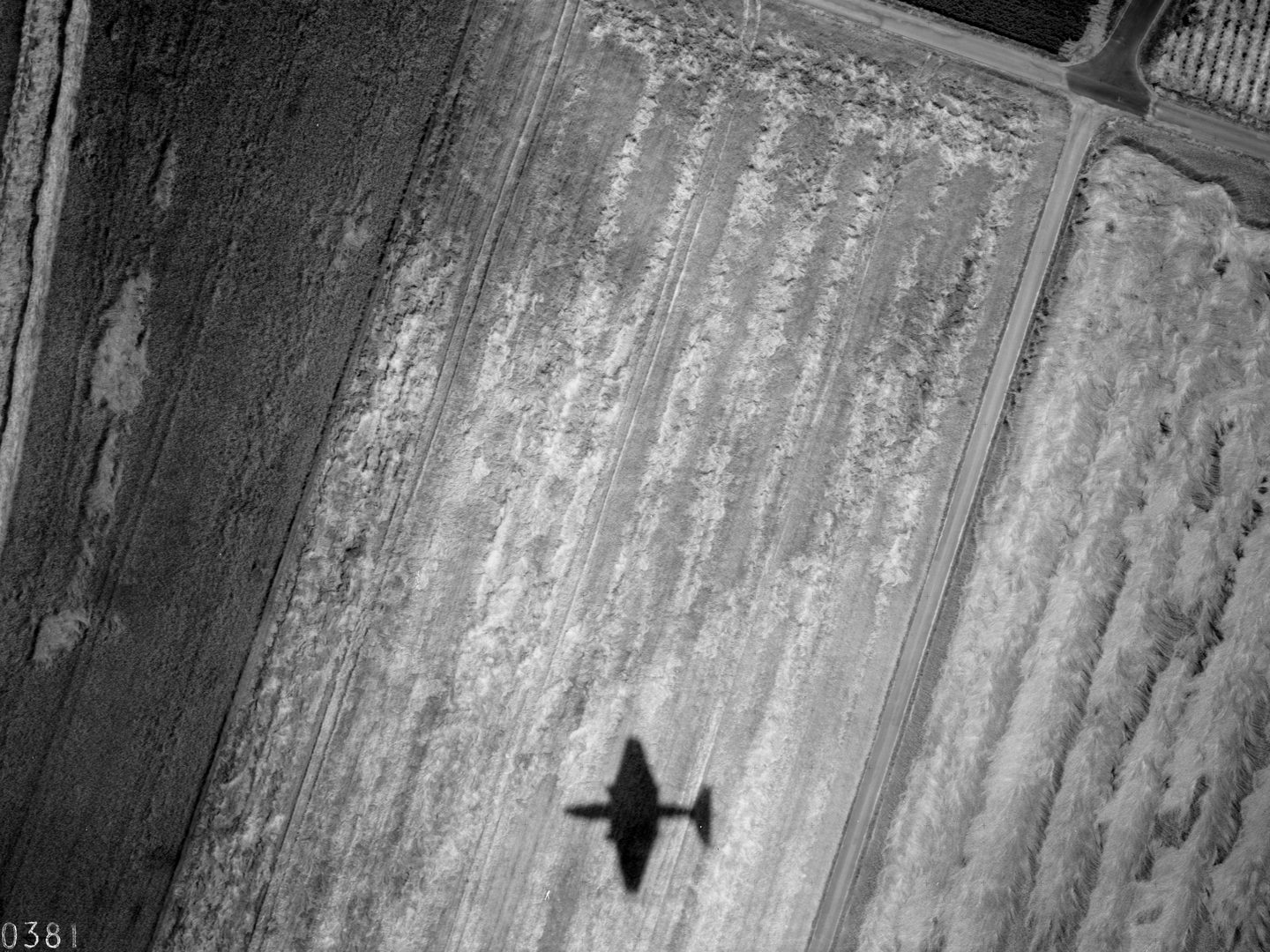 A black and white aerial photo of fields. A track runs vertically through the right half of the image. The shadow of a Canberra plane can be seen bottom centre. Its wings have a distinctive diamond-shaped profile.