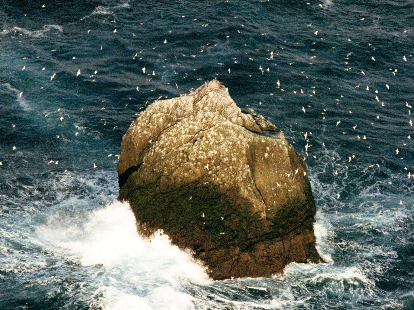 A historic colour oblique aerial photo of Rockall - a triangular shaped rock in a blue sea surrounded by crashing waves. The air around it is thick with white seabirds.