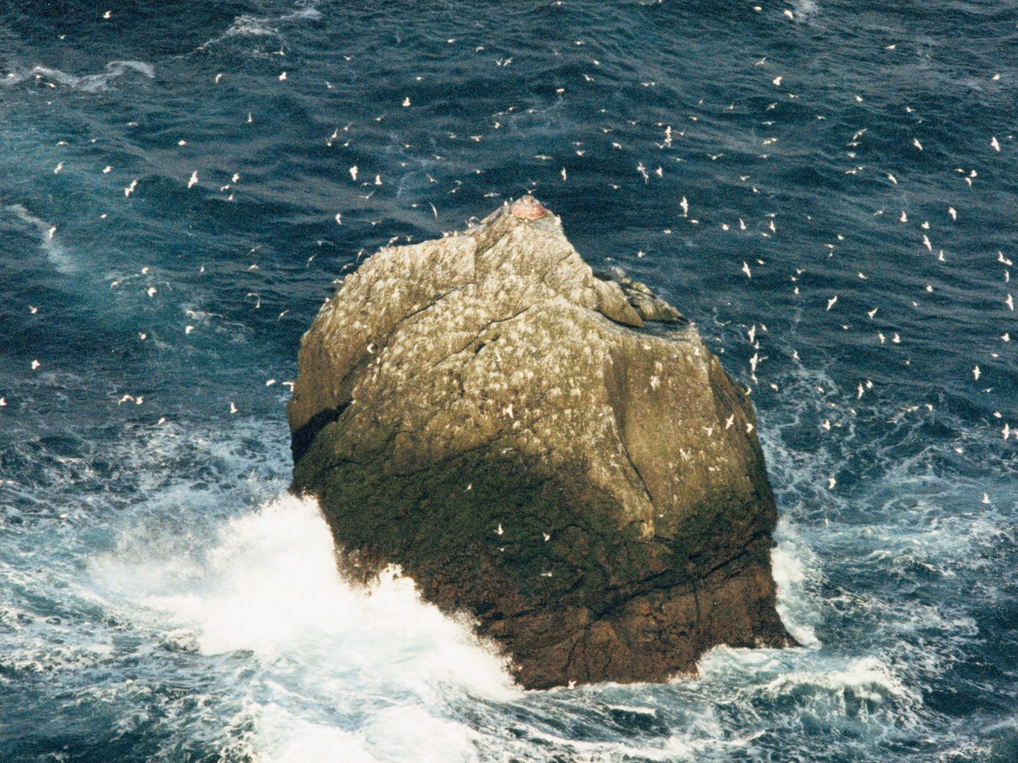 A historic colour oblique aerial photo of Rockall - a triangular shaped rock in a blue sea surrounded by crashing waves. The air around it is thick with white seabirds.