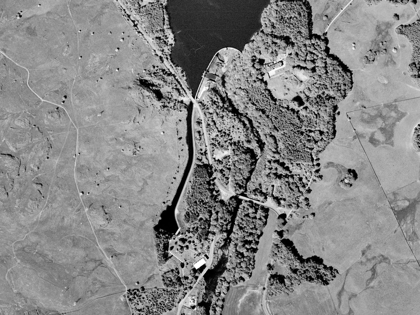 A historic black and white vertical aerial photo of a landscape with woods in the centre and moorland either side. A body of water is visible top centre, with a river running vertically from it towards the bottom of the image.