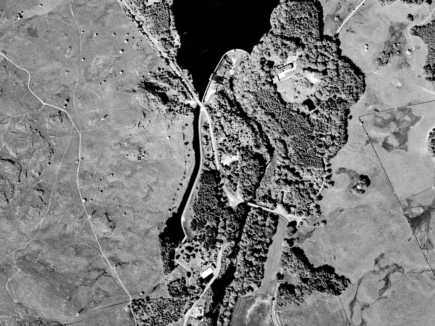 A historic black and white vertical aerial photo of a landscape with woods in the centre and moorland either side. A body of water is visible top centre, with a river running vertically from it towards the bottom of the image.