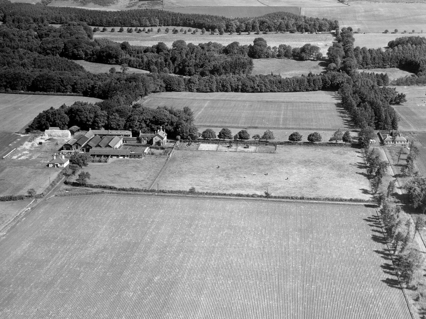 A historic black and white oblique aerial photo of fields divided by lines of trees. A farm complex is visible to the left of centre.